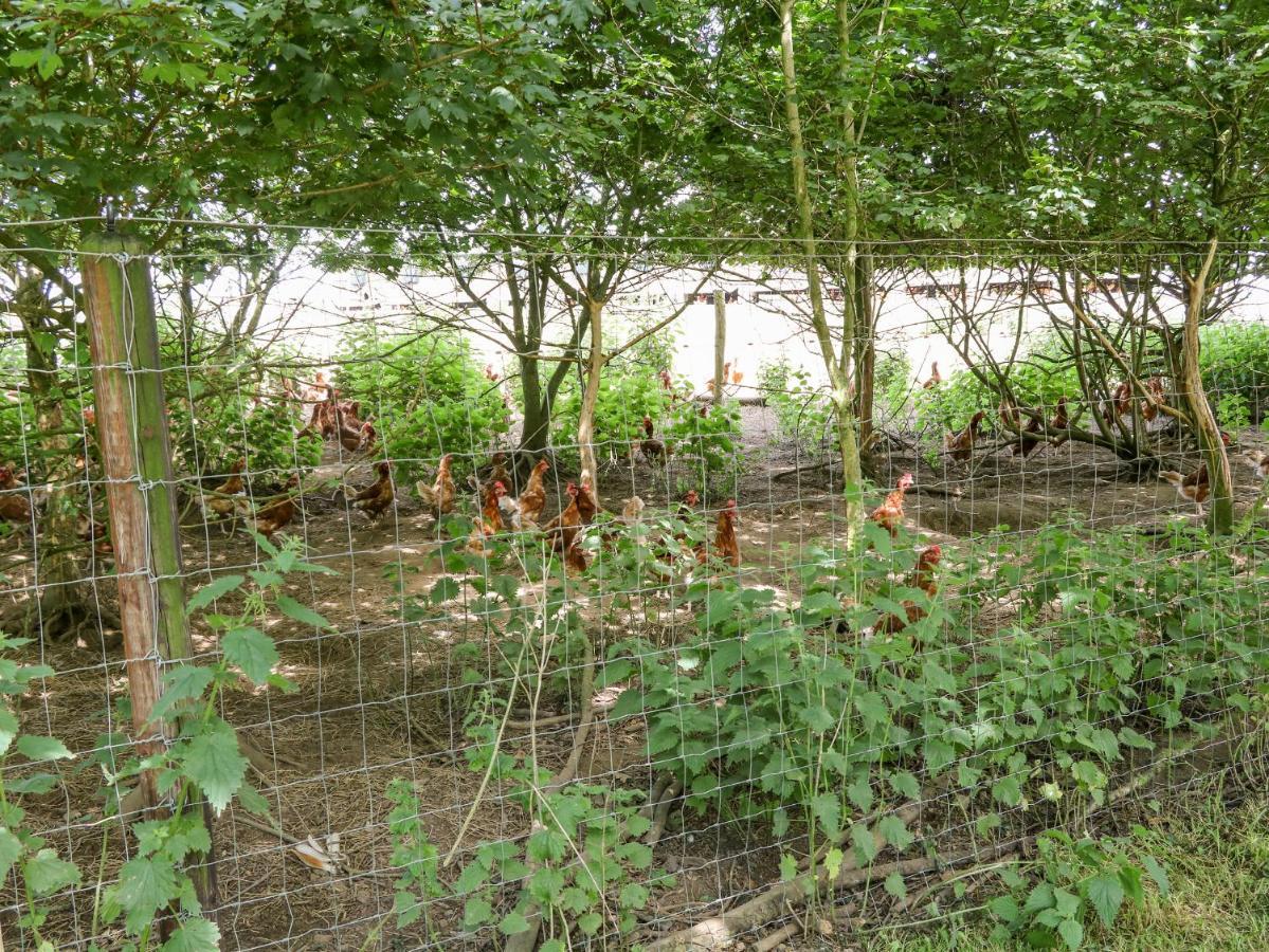 Glebe Farm Cottage ニューリー エクステリア 写真